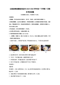 [化学][期末]云南省楚雄彝族自治州2023-2024学年高一下学期7月期末考试试题(解析版)