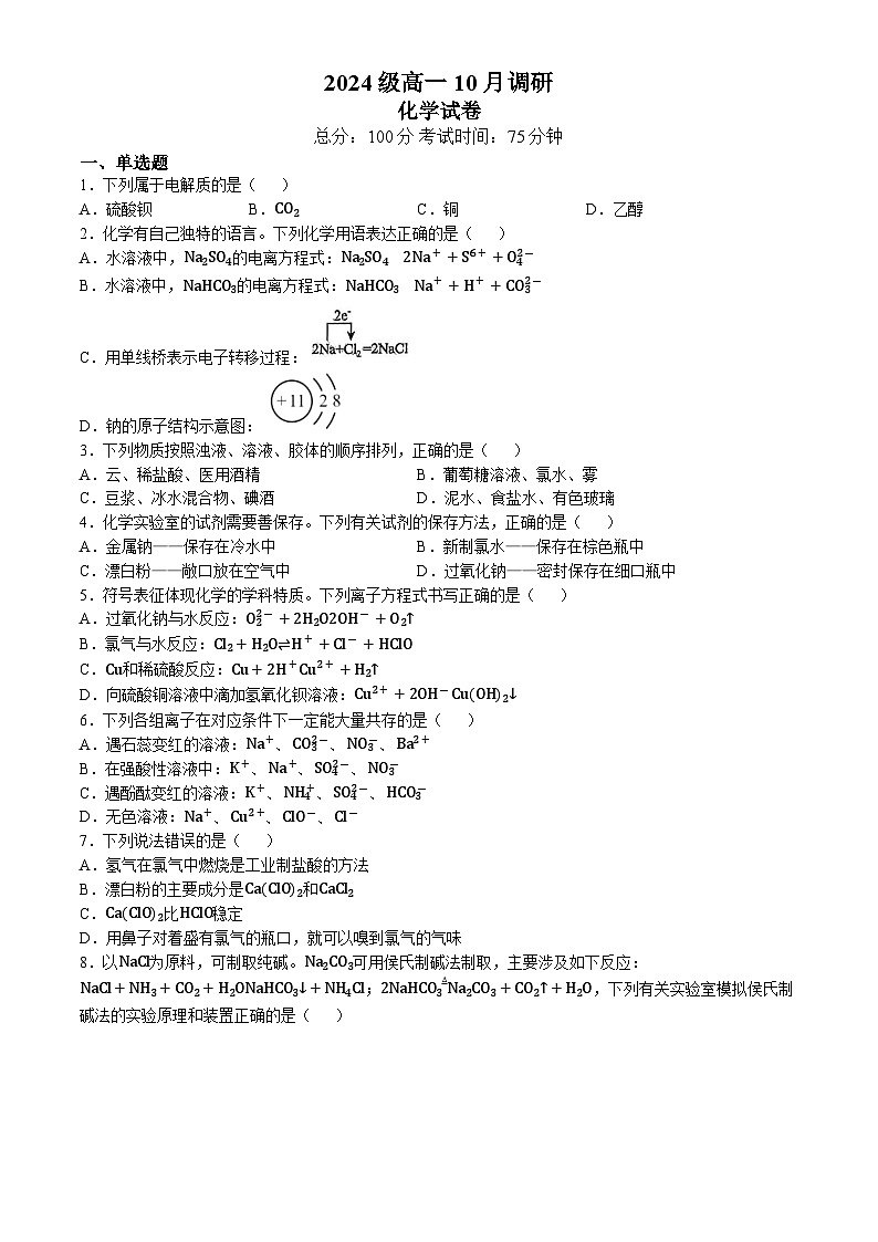 江苏省泰州市兴化市2024-2025学年高一上学期10月月考 化学试题(无答案)01
