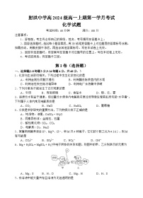 四川省遂宁市射洪中学校2024-2025学年高一上学期10月月考化学试题