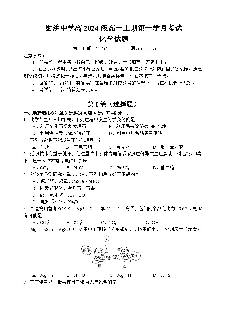 四川省遂宁市射洪中学校2024-2025学年高一上学期10月月考化学试题01