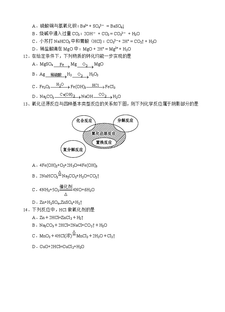 四川省遂宁市射洪中学校2024-2025学年高一上学期10月月考化学试题03