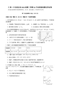 四川省仁寿一中北校区2024-2025学年高二上学期10月月考化学试题（含答案）