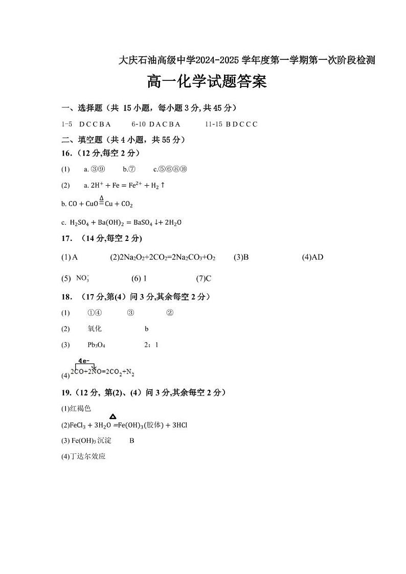 黑龙江省大庆石油高级中学2024-2025学年高一上学期第一次阶段检测化学试题01