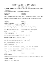 廣西柳州高級高中2024-2025學(xué)年高一上學(xué)期10月月考化學(xué)試卷（Word版附答案）