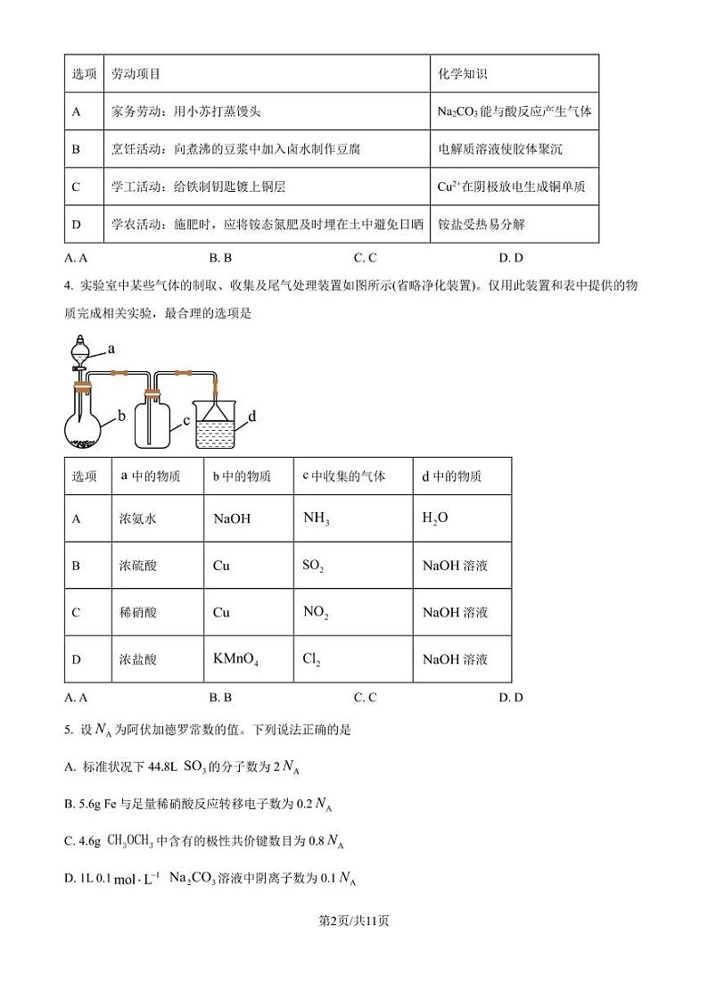 广东省东莞外国语学校2024-2025学年高三上学期10月月考化学试题(原卷版+解析版)02