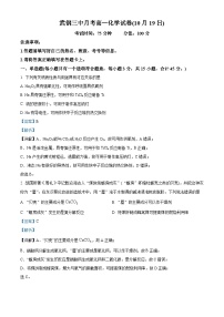 湖北省武汉市武钢三中2024-2025学年高一上学期10月月考化学试卷（Word版附解析）