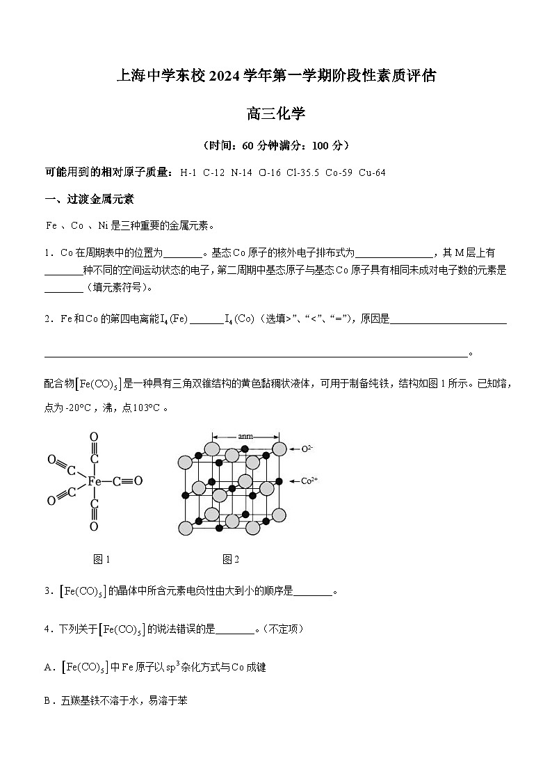 上海市上海中学东校2024-2025学年高三上学期阶段性素质评估化学试卷第1页
