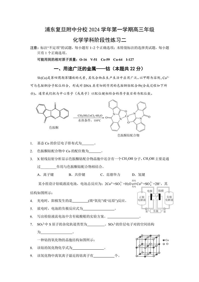 上海市浦东复旦附中分校2024~2025学年高三上学期10月阶段测试化学试卷(含答案)01