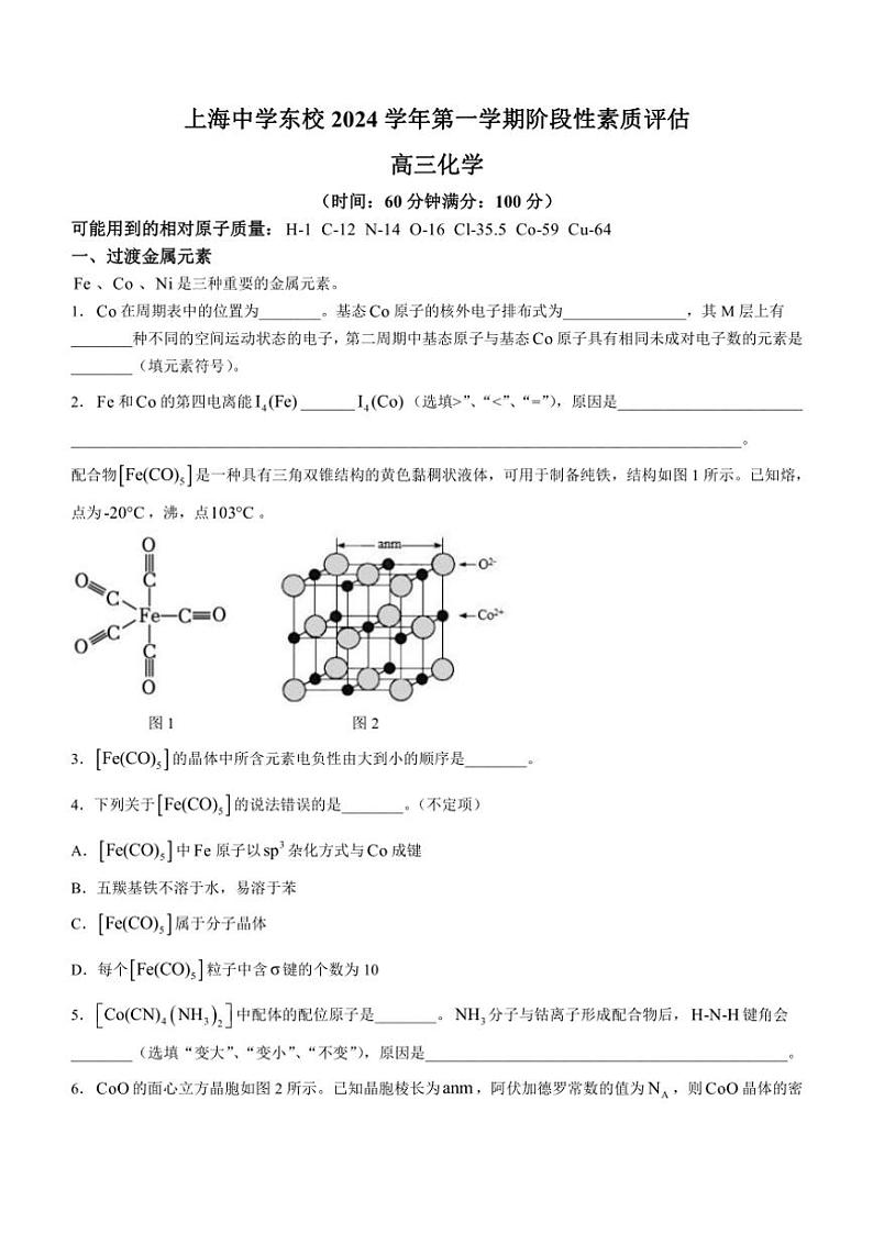 上海市上海中学东校2024~2025学年高三上学期阶段性素质评估月考化学试卷(含答案)第1页