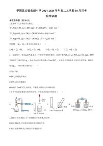 山东省济南市平阴县实验高级中学2024～2025学年高二上学期10月月考化学试题（含答案）