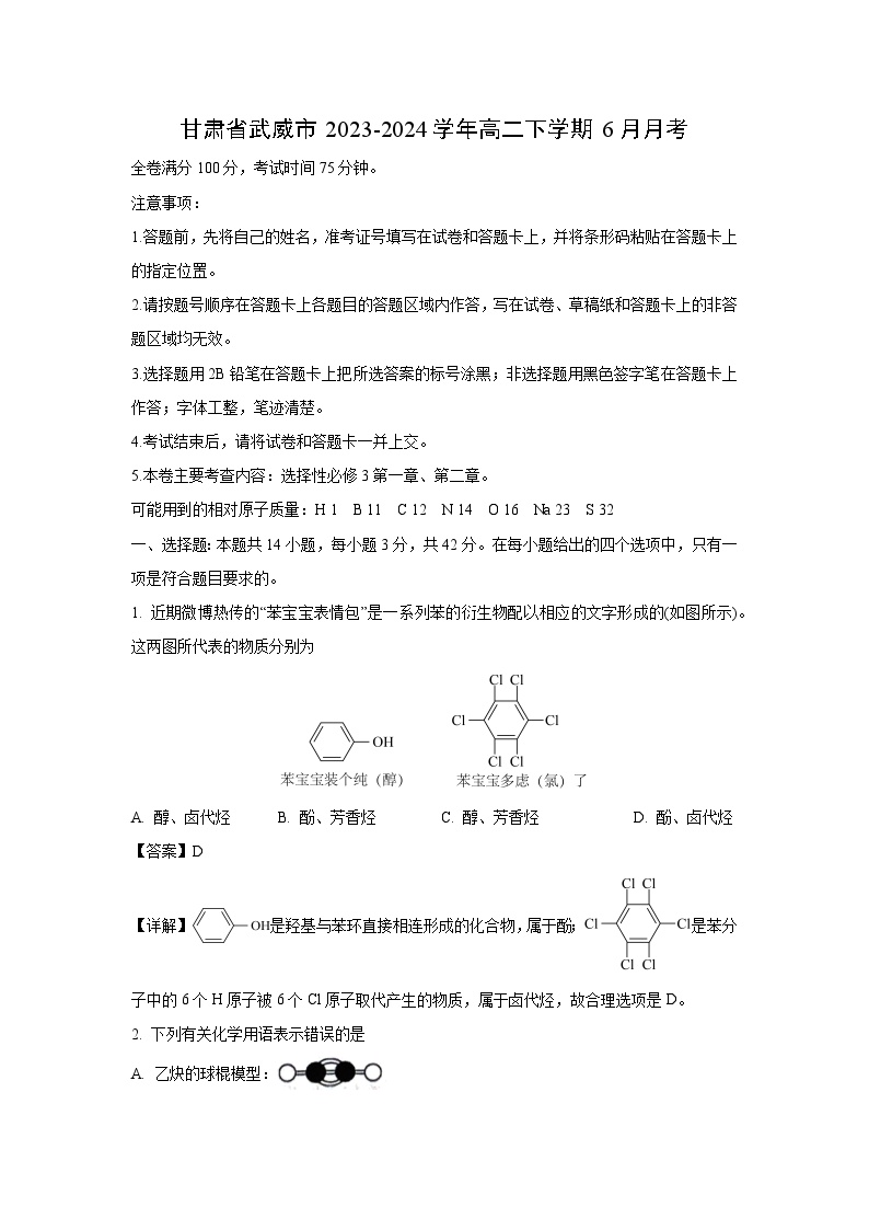 甘肃省武威市2023-2024学年高二下学期6月月考化学试卷(解析版)