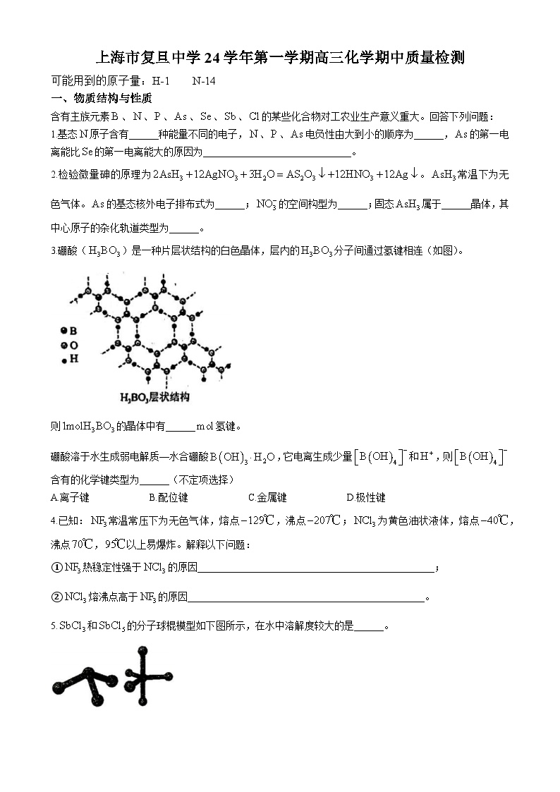 上海市复旦中学2024-2025学年高三上学期期中质量检测  化学试题(无答案)