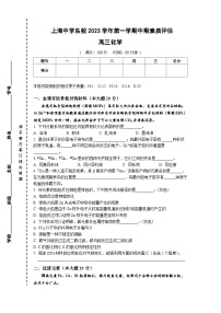 上海市上海中学东校2023-2024学年高三上学期期中考试 化学试题(含答案)