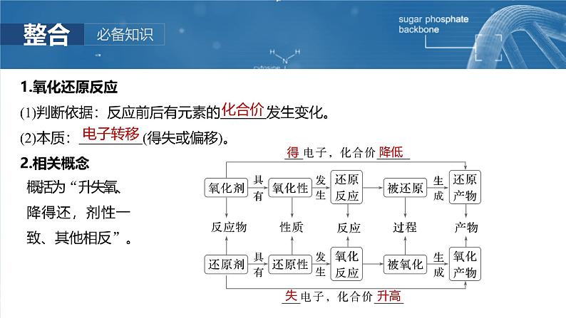 2025年高考化学一轮复习课件(新高考版)大单元1 第1章 第3讲 氧化还原反应的概念和规律第5页