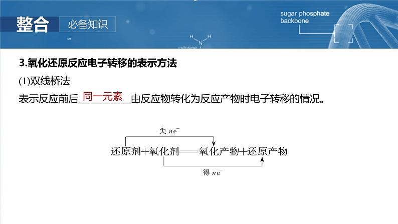 2025年高考化学一轮复习课件(新高考版)大单元1 第1章 第3讲 氧化还原反应的概念和规律第6页