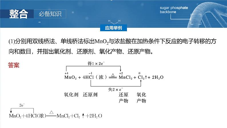 2025年高考化学一轮复习课件(新高考版)大单元1 第1章 第3讲 氧化还原反应的概念和规律第8页