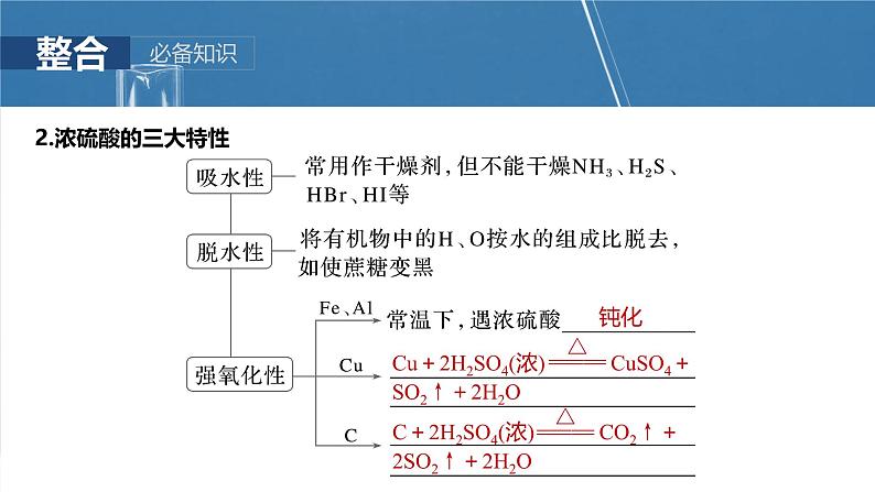 2025年高考化学一轮复习课件(新高考版)大单元2 第5章 第20讲 硫酸 硫酸盐第6页