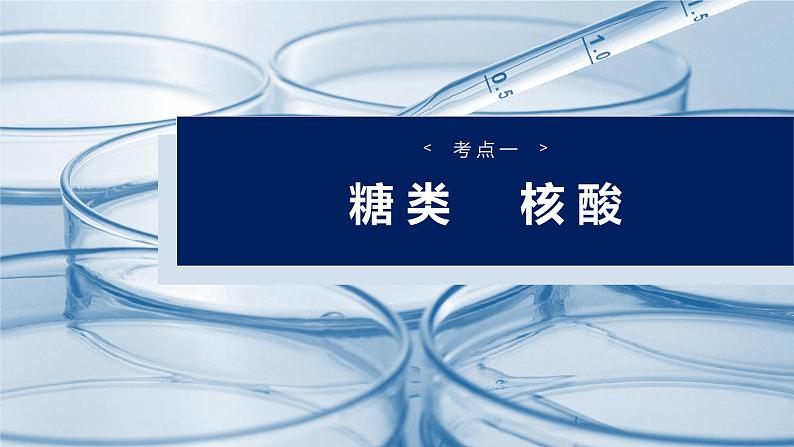 2025年高考化学一轮复习课件(新高考版)大单元5 第14章 第66讲 生物大分子 合成高分子第4页