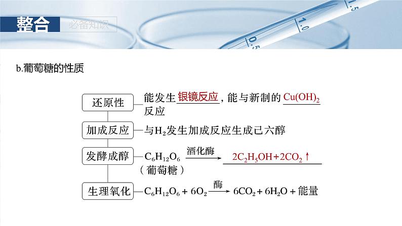 2025年高考化学一轮复习课件(新高考版)大单元5 第14章 第66讲 生物大分子 合成高分子第8页
