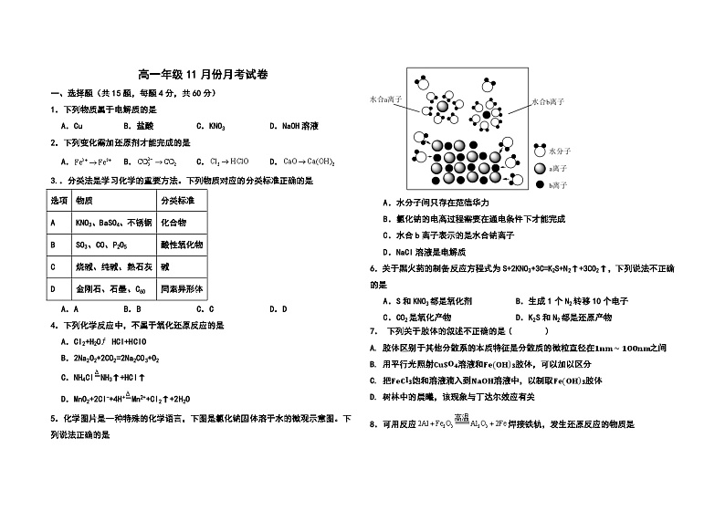 河北省衡水市阜城实验中学2024-2025学年高一上学期11月月考 化学试题第1页