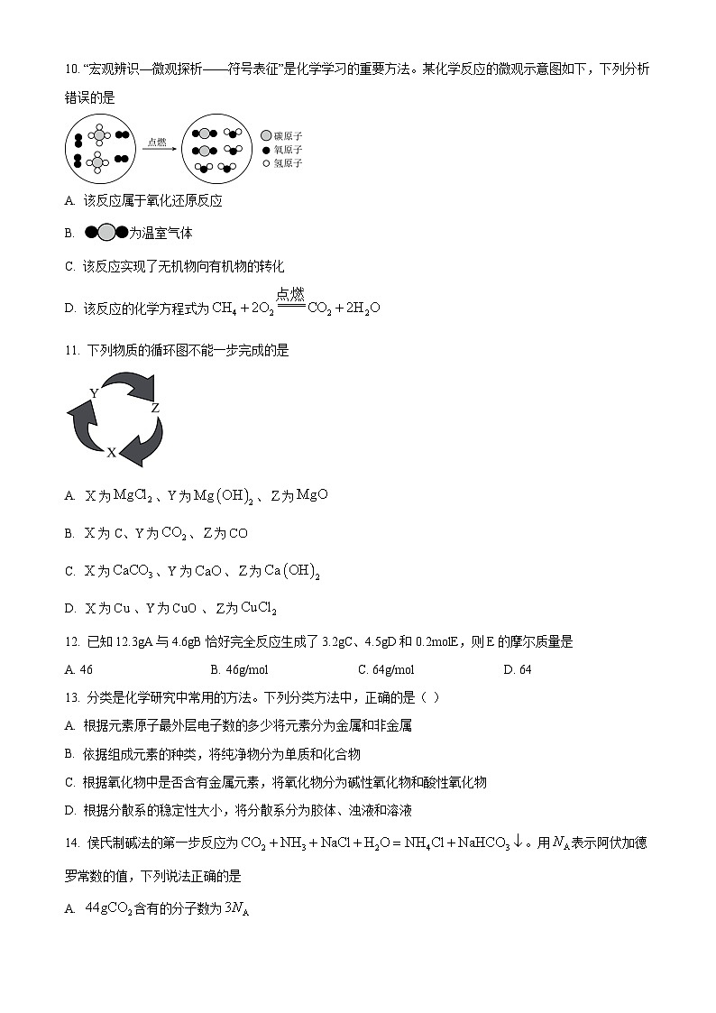 河北省沧州市四校联考2024-2025学年高一上学期10月期中考试 化学试题 Word版无答案第3页