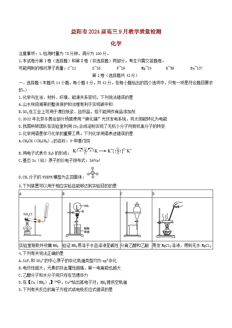 湖南省益阳市2024届高三化学上学期9月教学质量检测试题01