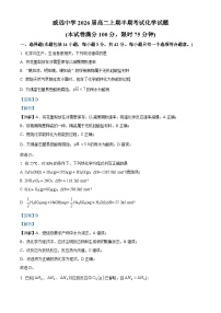 四川省内江市威远中学2024-2025学年高二上学期期中考试化学试卷（Word版附解析）