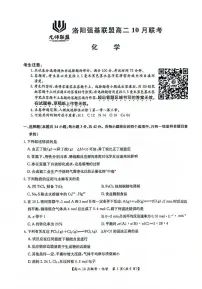 河南省洛阳强基联盟2024-2025学年高二上学期10月联考化学试卷（PDF版附解析）