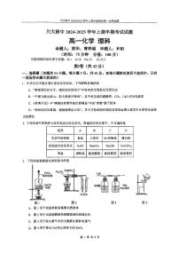 四川省成都市第十二中学(四川大学附属中学)2024-2025学年高一上学期11月期中考试 化学试题（PDF版无答案）
