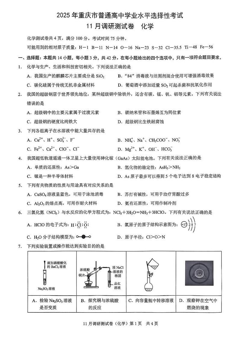 重庆市2024-2025学年高三上学期11月期中考试(康德卷)化学试卷(PDF版附答案)第1页