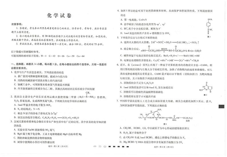 云南师范大学附属中学2024-2025学年高三上学期高考适应性月考卷(五)化学试卷(PDF版附解析)第1页