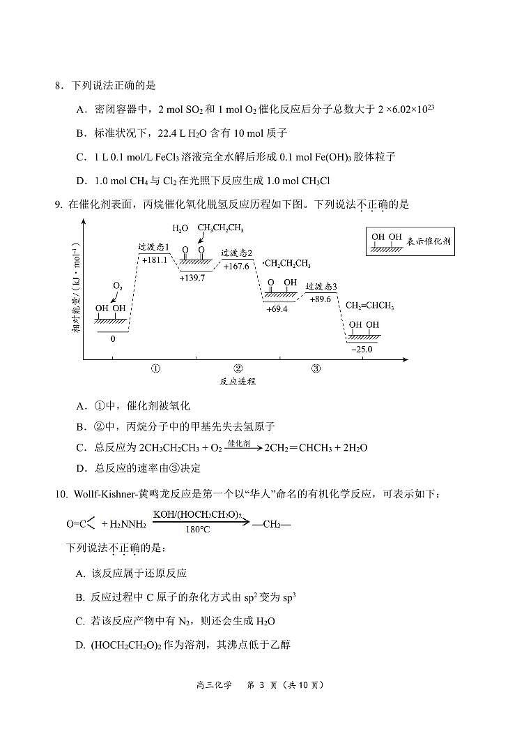 2024北京一七一中高三(上)期中化学试题第3页