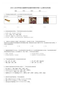 2024～2025学年四川成都青羊区成都市树德中学高一(上)期中化学试卷[原题+解析]