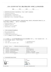 2024～2025学年10月广东江门鹤山市鹤山市第一中学高二(上)月考化学试卷[原题+解析]