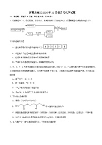河南省駐馬店市新蔡縣2024-2025學(xué)年高三上學(xué)期11月月考化學(xué)試題（含答案）