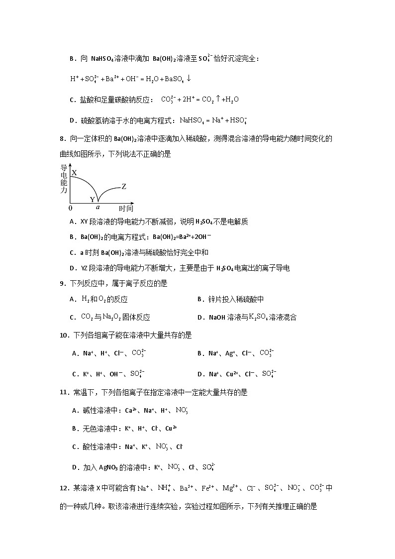 2025届化学高考一轮复习 离子反应及其应用 作业第2页
