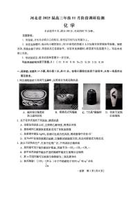 2025届河北省啄名小渔高三上学期11月考-化学试卷+答案