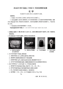 2025届河北省啄名小渔高三上学期11月考-化学试卷+答案