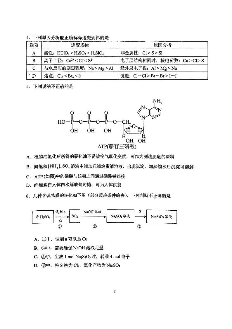 2024北京五中高三(上)期中化学试卷第2页