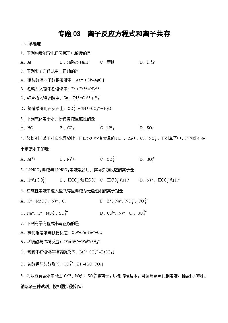 专题03 离子反应方程式和离子共存(含解析)-2025高考化学专题二轮复习冲刺练习第1页