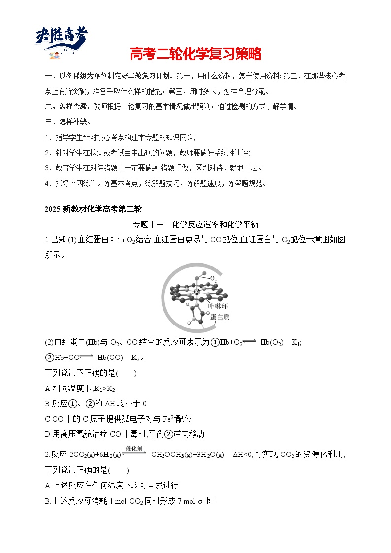 专题11 化学反应速率和化学平衡（含答案）-2025年新高考化学二轮专题练习（含答案）