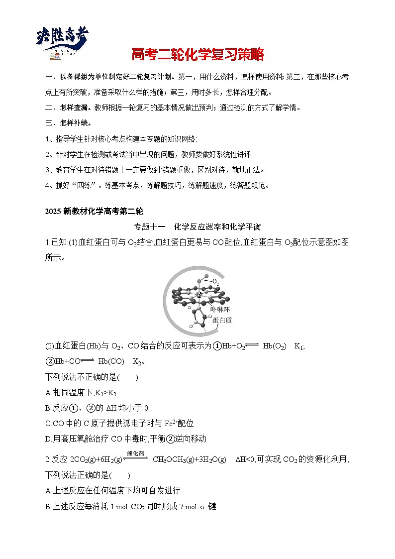专题11 化学反应速率和化学平衡(含答案)-2025年新高考化学二轮专题练习(含答案)第1页