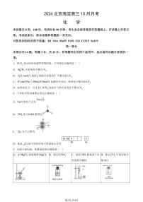 2024北京海淀高三（上）10月月考化学试卷