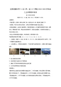 江西省赣州市十八县(市、区)二十四校2024-2025学年高二上学期期中联考化学试卷（解析版）