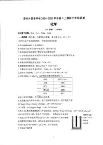 河南省郑州高新技术产业开发区郑州外国语学校2024-2025学年高二上学期期中化学试题