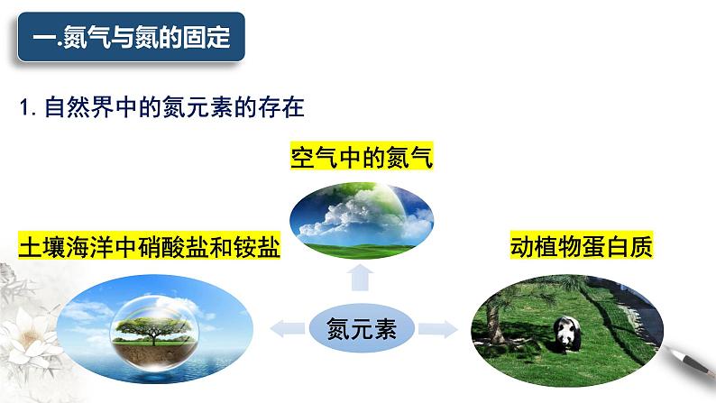 5.2.1氮及其化合物 课件 2023-2024学年高一下学期化学人教版(2019)必修第二册第3页