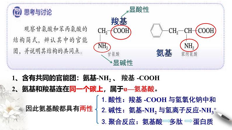 7.4.2基本营养物质 第二课时 蛋白质和油脂 课件 2023-2024学年高一下学期化学人教版(2019)必修第二册第4页