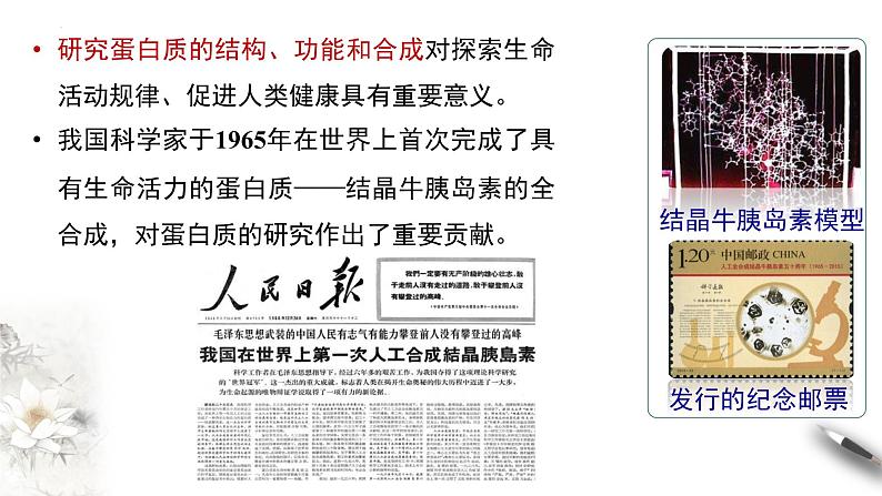 7.4.2基本营养物质 第二课时 蛋白质和油脂 课件 2023-2024学年高一下学期化学人教版(2019)必修第二册第5页