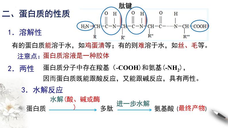7.4.2基本营养物质 第二课时 蛋白质和油脂 课件 2023-2024学年高一下学期化学人教版(2019)必修第二册第6页