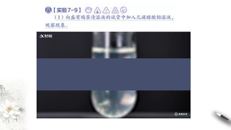 7.4.2基本营养物质 第二课时 蛋白质和油脂 课件 2023-2024学年高一下学期化学人教版(2019)必修第二册第7页